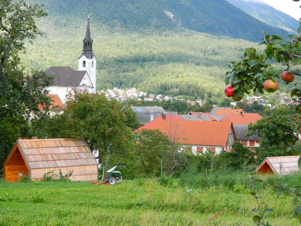 Glamping Organic Farm Slibar Villa Trzic Ngoại thất bức ảnh