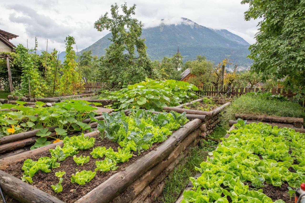 Glamping Organic Farm Slibar Villa Trzic Ngoại thất bức ảnh